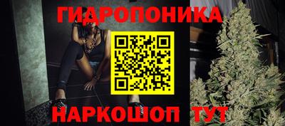 гашик Можга