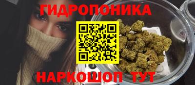 гашик Можга