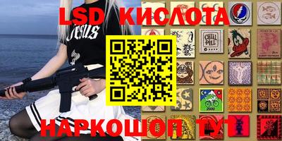 гашик Можга
