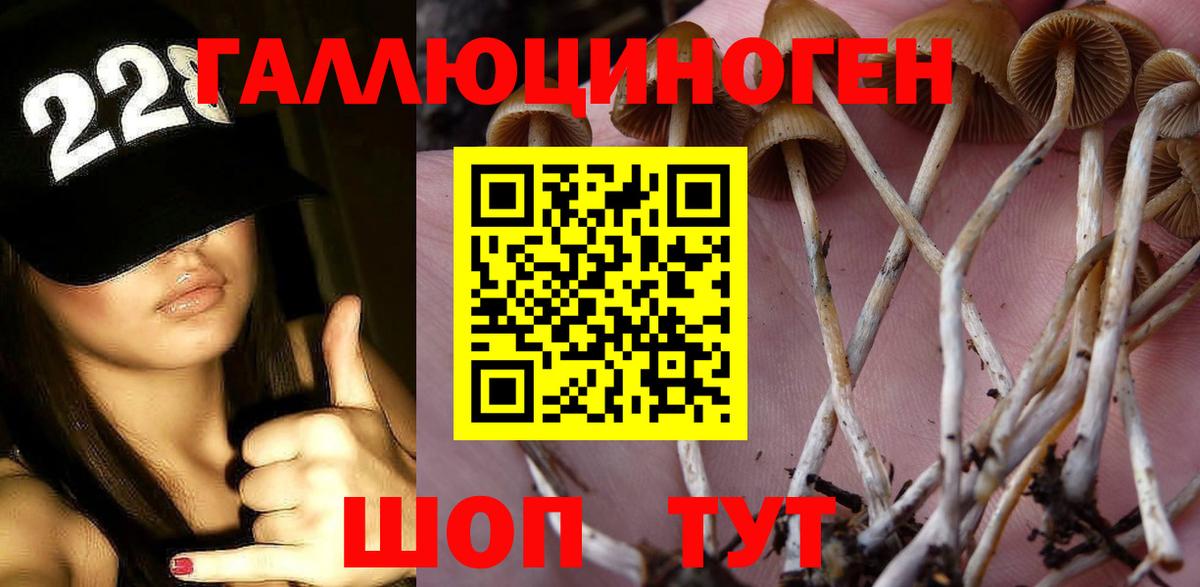 Псилоцибиновые грибы GOLDEN TEACHER Тверь