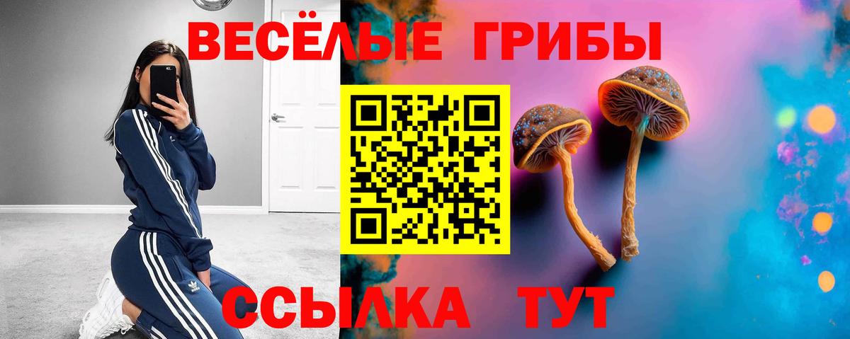 Тверь  Галлюциногенные грибы мухоморы  Вход с VPN 